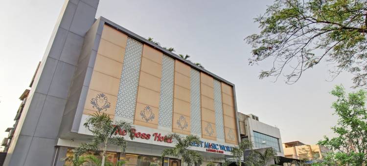 Treebo the Boss图片