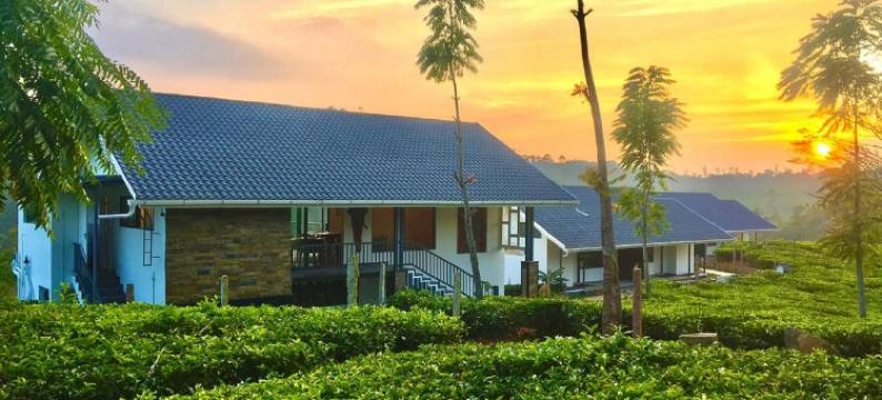 Pekoe Plantation Cottages by LexStays图片