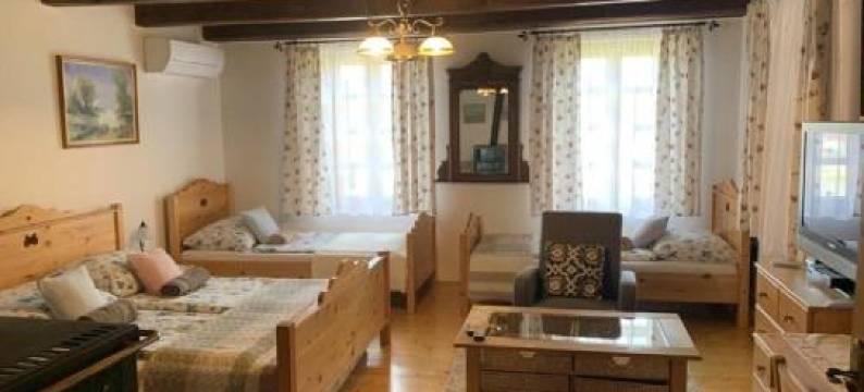 图里帕诺斯温德加兹公寓(Tulipános vendégház)图片