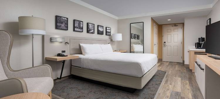 查塔努加会议中心希尔顿花园酒店(Hilton Garden Inn Chattanooga Downtown)图片