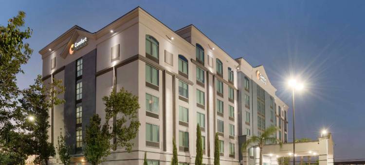 新奥尔良机场北舒适酒店及套房(Comfort Inn & Suites New Orleans Airport North)图片