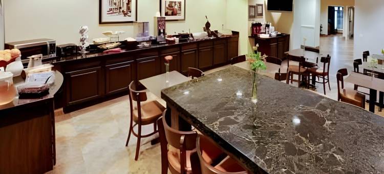 艾迪生 - 达拉斯美茵斯坦套房酒店(MainStay Suites Addison-Dallas)图片