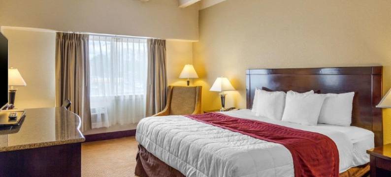 丹佛市中心凯艺酒店(Inn at the Highland Denver Downtown)图片