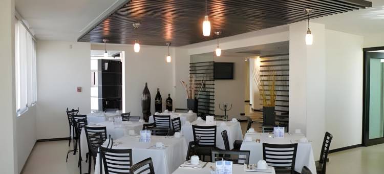 帕丘卡米西翁快捷酒店(Mision Express Pachuca)图片