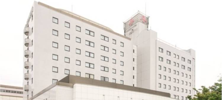 东京新白河Daiichi酒店(Tokyo Daiichi Hotel Shinshirakawa)图片