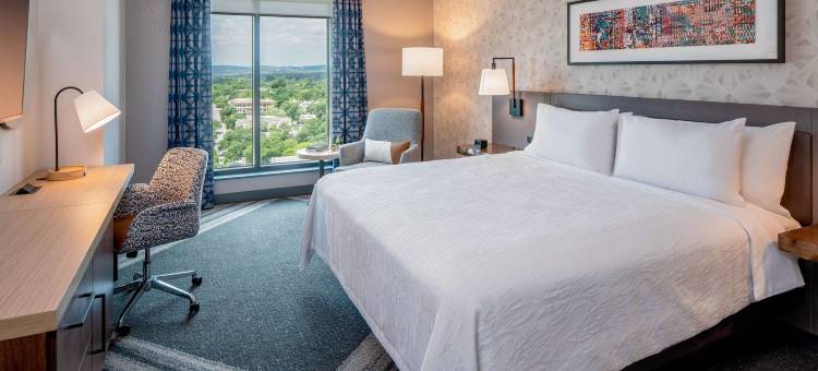 奥斯汀大学国会区希尔顿花园酒店(Hilton Garden Inn Austin University Capitol District)图片