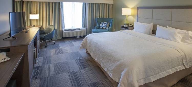 希尔顿欢朋套房酒店-新奥尔良爱姆伍德(Hampton Inn & Suites New Orleans-Elmwood/Clearview Parkway Area)图片