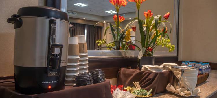 蒙特雷空港贝斯特韦斯特精品酒店(Best Western Premier Monterrey Aeropuerto)图片