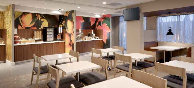斯普林菲尔德北万枫酒店及套房(Fairfield Inn & Suites Springfield North)图片