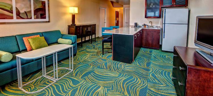 诺福克奥多明尼昂大学 SpringHill Suites 酒店(SpringHill Suites Norfolk Old Dominion University)图片