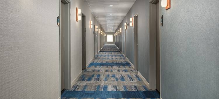 达拉斯花岗希尔顿惠庭酒店(Home2 Suites by Hilton Flower Mound Dallas)图片