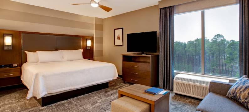 萨默维尔Homewood Suites by Hilton(Homewood Suites by Hilton Summerville)图片