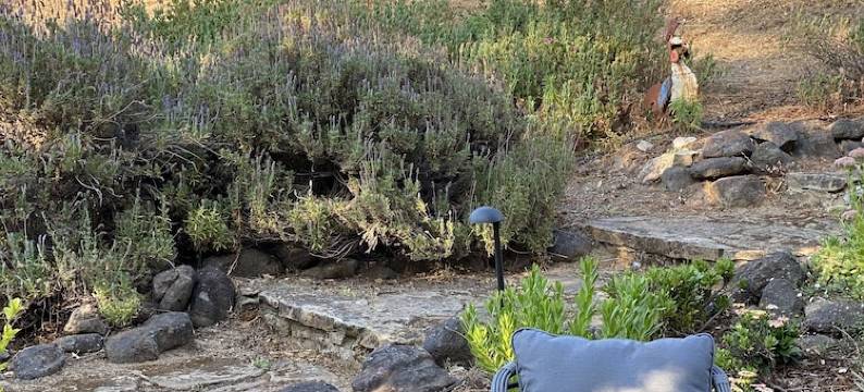 Studio cottage retreat in a vineyard setting图片