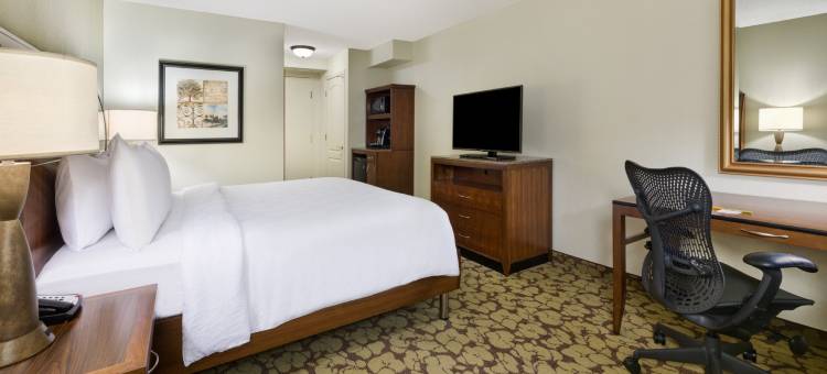 北亚特兰大/阿尔普哈雷塔希尔顿花园酒店(Hilton Garden Inn Atlanta North/Alpharetta)图片