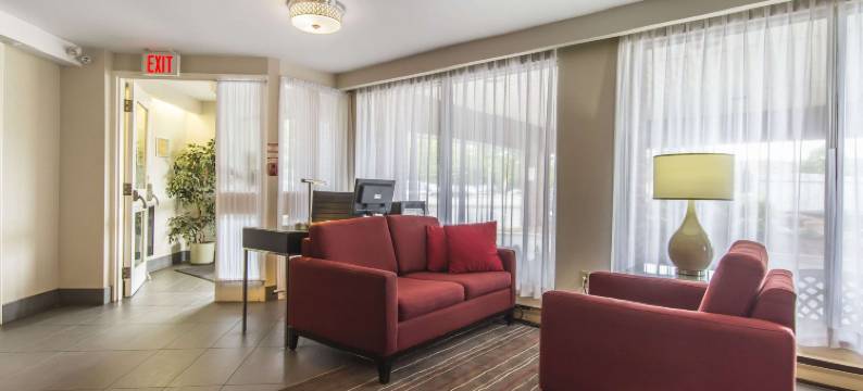 舒适酒店(Comfort Inn)图片