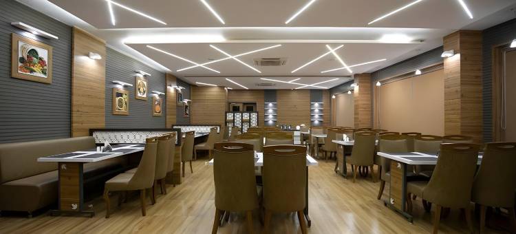 索姆纳斯广场酒店(The Square Somnath)图片