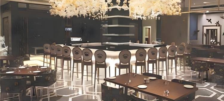 印度国际酒店(The Hotel Hindusthan International)图片