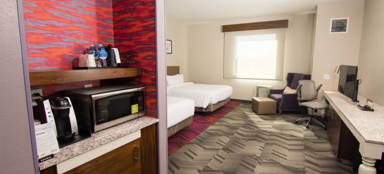 坦帕桑科斯特大道希尔顿花园酒店(Hilton Garden Inn Tampa Suncoast Parkway)图片