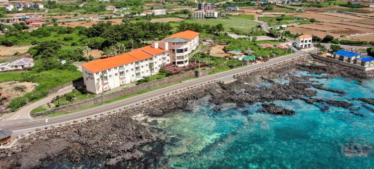 济州韩林姆肯辛顿度假村(Kensington Resort Jeju Hanlim)图片