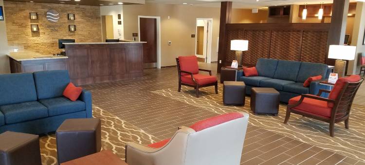 舒适酒店-81号州际公路和宾州收费公路(Comfort Inn PA Turnpike - I-81)图片