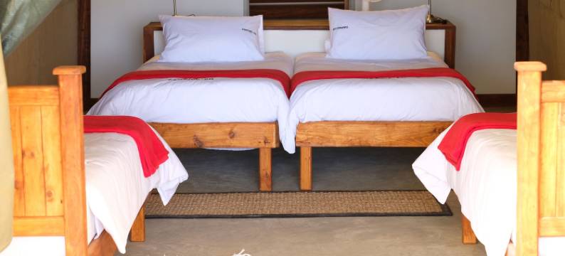 棕榈营地2Go(Palmwag Camping2Go)图片