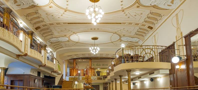 皮沃瓦莫诺波尔酒店(Wellness Hotel Pivovar Monopol)图片