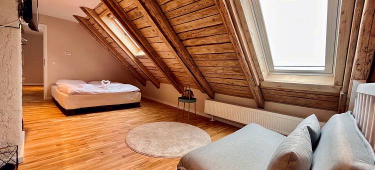 费赫特尔贝格山景独木屋和公寓(Chalet & Apart Fichtelberger Blick)图片