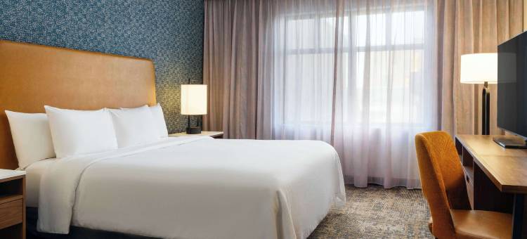 林肯希尔顿安泊酒店(Embassy Suites by Hilton Lincoln)图片