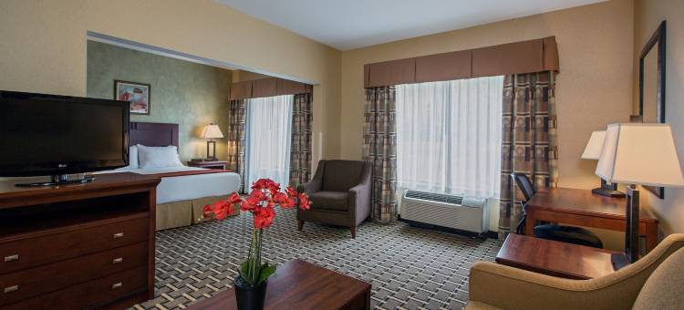 智选假日套房酒店扬斯敦N(沃伦/ NILES)(Holiday Inn Express & Suites YOUNGSTOWN N (WARREN/NILES) by IHG)图片