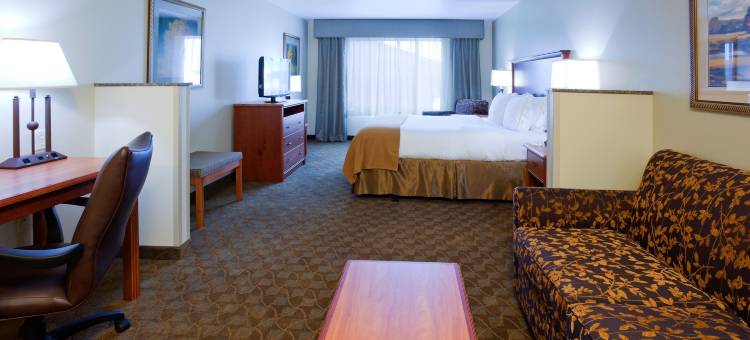 智选假日套房酒店梅森城(Holiday Inn Express & Suites Mason City)图片