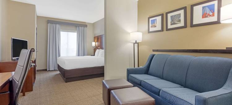舒适套房酒店-西达拉斯科克雷尔山(Comfort Suites West Dallas - Cockrell Hill)图片