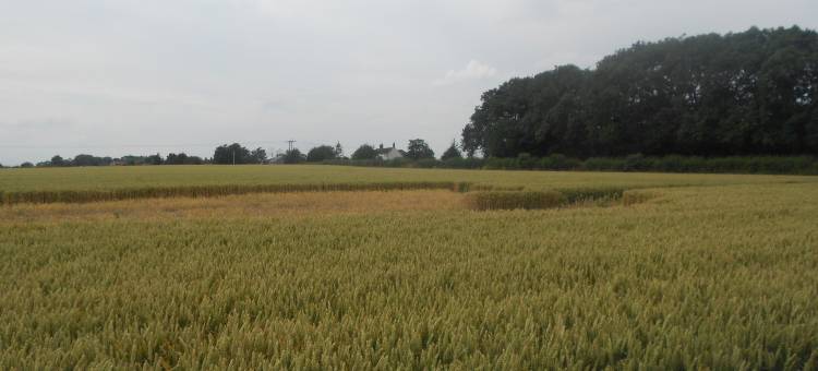 农场小屋别墅酒店(Villa Farm Cottage)图片