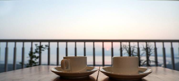 蒙纳酒店塔布(The Monarch Turbhe)图片