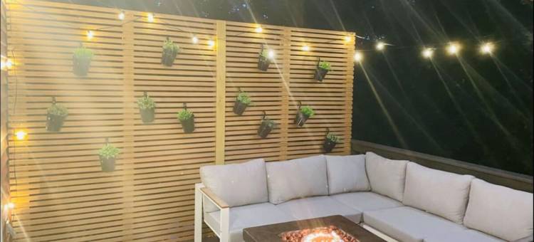 #37 - Luxury Collection图片