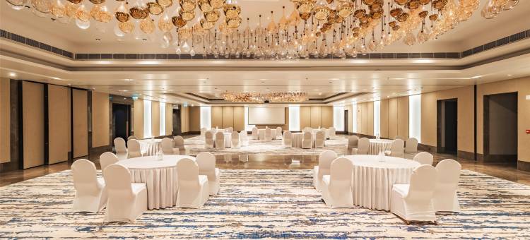 贾姆谢德布尔丽笙酒店(Radisson Hotel Jamshedpur)图片