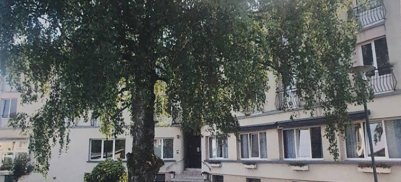 酒店-酒吧-餐厅 de la promenade(Hôtel de la Promenade)图片