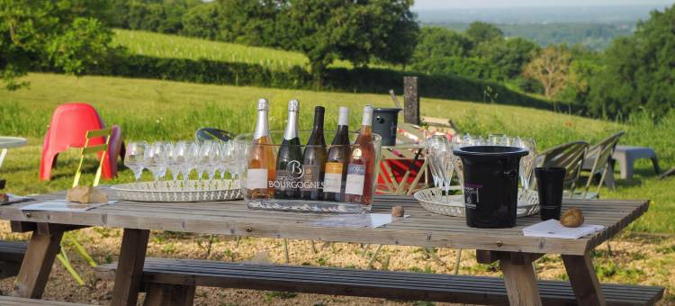 福赐约瑟夫拉法奇酒庄度假村葡萄酒桶体验(Domaine Joseph Lafarge Wine Resort Oeno-Tonneaux expérience)图片