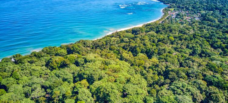 埃克索蒂科海滩酒店(Exôtico Beach & Rooms)图片