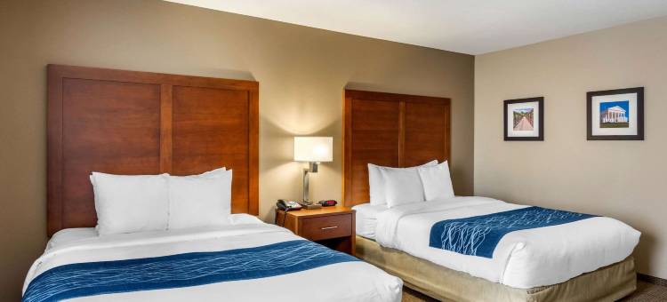 南切斯特菲尔德-科隆尼尔海次舒适酒店(Comfort Inn South Chesterfield - Colonial Heights)图片