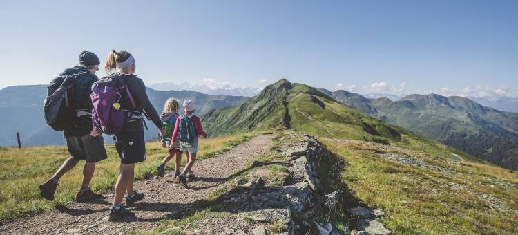 阿尔卑斯公园牧场和公寓史蒂夫旅馆(AlpenParks Chalet & Apartment Steve Lodge Viehhofen)图片