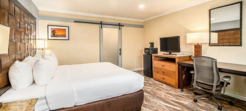 布埃纳帕克套房酒店(The Buena Park Hotel & Suites)图片