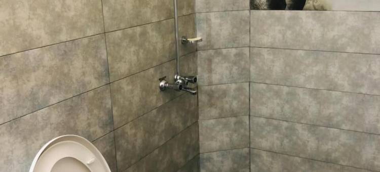 新格雷斯旅馆(New Grace Inn)图片