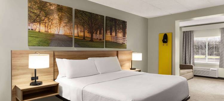 兰开斯特阿米什乡村戴斯套房酒店(Days Inn & Suites by Wyndham Lancaster Amish Country)图片