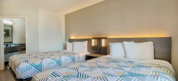 哈灵根6号汽车旅馆(Motel 6 Harlingen, TX)图片