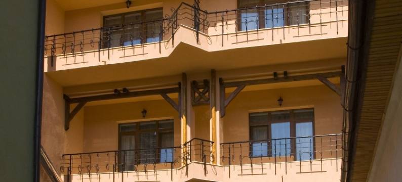 安姆比恩特膳食公寓酒店(Pensiunea Ambient)图片