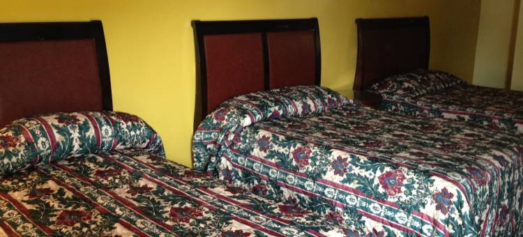 火鹤旅馆(Flamingo Inn)图片