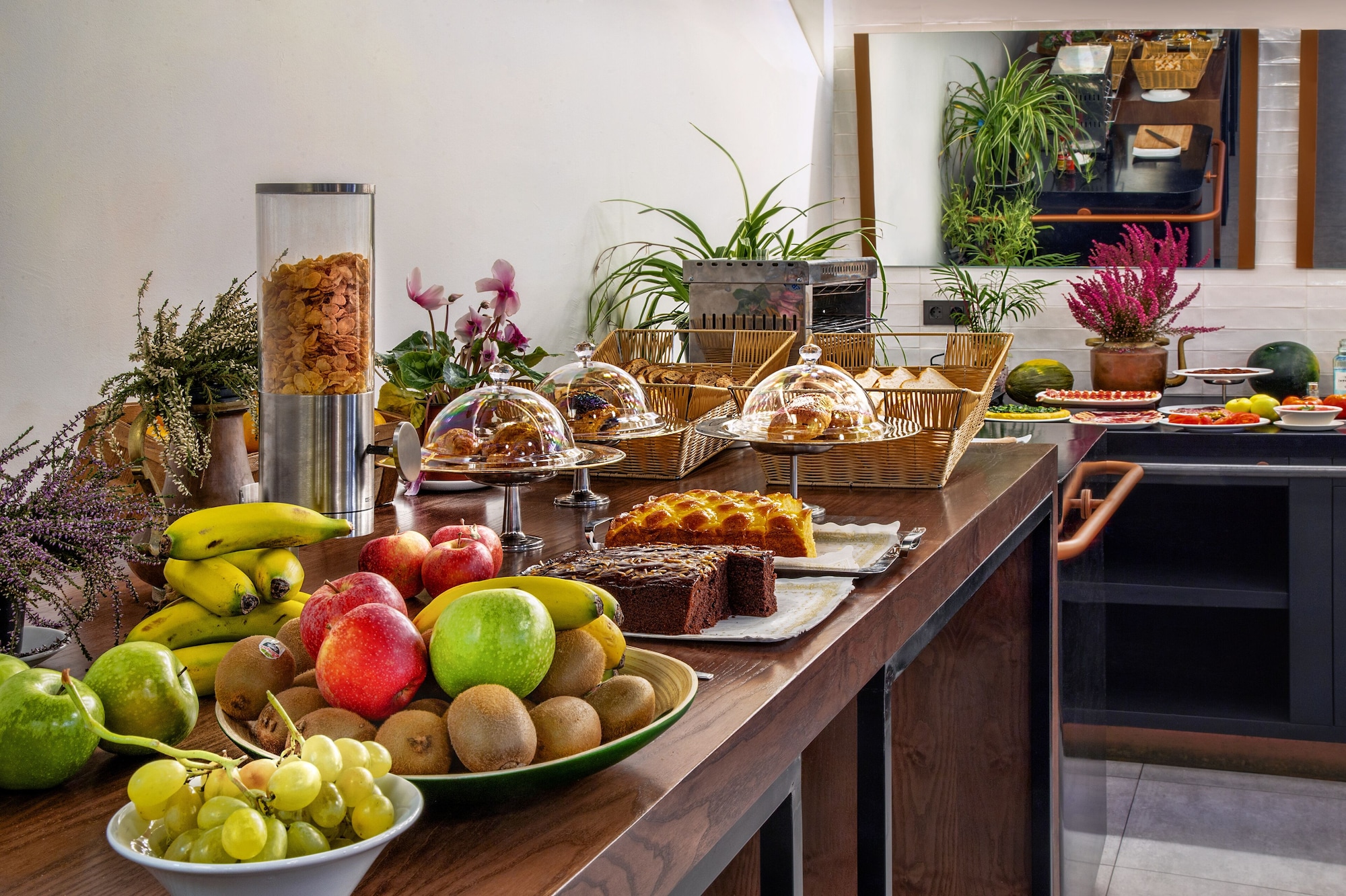 One Shot Tabakalera HouseOver view