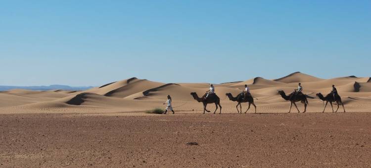 沙之歌酒店(Mhamid Sahara Camp Activities - le Chant du Sable)图片