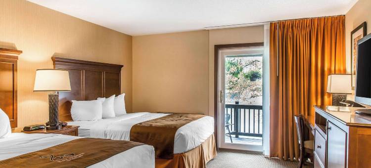 黑天鹅旅馆-雷诺克斯-阿桑德连锁酒店(The Black Swan Lee - Lenox, Ascend Hotel Collection)图片