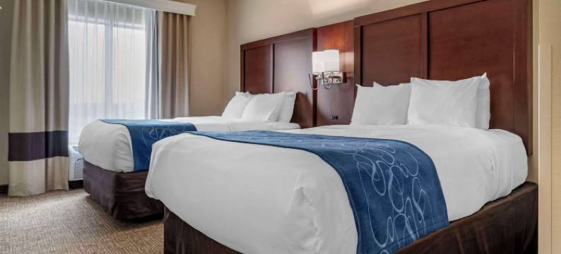 佩尔城靠近洛根马丁湖的康福特套房(Comfort Suites Pell City Near Logan Martin Lake)图片